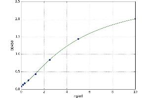 Kallikrein 2 (KLK2) ELISA Kit