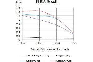 Black line: Control Antigen (100 ng),Purple line: Antigen (10 ng), Blue line: Antigen (50 ng), Red line:Antigen (100 ng) (LRP1B antibody  (AA 25-161))