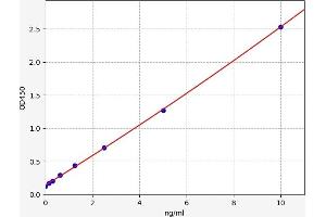 BCAN ELISA Kit