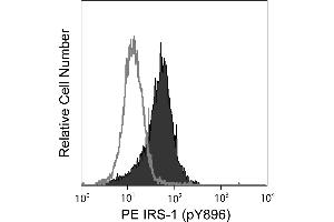 Flow Cytometry (FACS) image for anti-Insulin Receptor Substrate 1 (IRS1) (pTyr896) antibody (PE) (ABIN1177073) (IRS1 antibody  (pTyr896) (PE))