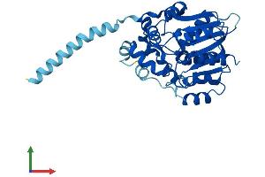 Protein Structure (PS) image for Mesoderm Specific Transcript (MEST) (AA 1-335) protein (His tag) (ABIN7556914)