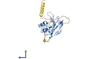 AlphaFold protein structure predicition of Mouse Recombinant Snrnp35 Protein, UniprotID Q9D384 (SNRNP35 Protein (AA 1-244) (His tag))