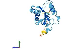 Protein Structure (PS) image for NHP2 Ribonucleoprotein (NHP2) (AA 1-153) protein (His tag) (ABIN7560631)