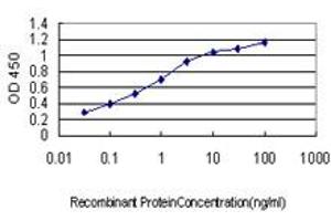 Detection limit for recombinant GST tagged RAB38 is approximately 0. (RAB38 antibody  (AA 115-211))