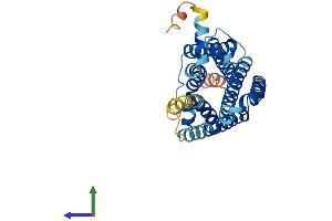 Protein Structure (PS) image for Melanocortin 5 Receptor (MC5R) (AA 1-325) protein (His tag) (ABIN7563223)