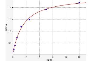Typical standard curve (PCDHGA2 ELISA Kit)