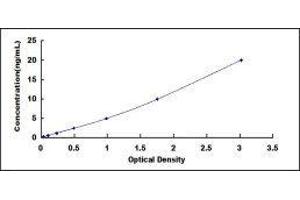 Typical standard curve (GLUT1 ELISA Kit)