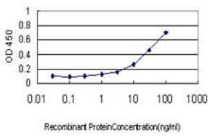Detection limit for recombinant GST tagged SHMT1 is approximately 1ng/ml as a capture antibody.