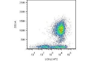 Surface staining of human peripheral blood leukocytes by mouse monoclonal anti-CD45R0 antibody UCHL1 . (CCL20 antibody  (APC))