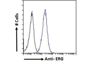ABIN185550 Flow cytometric analysis of paraformaldehyde fixed MCF7 cells (blue line), permeabilized with 0. (ERG antibody  (C-Term))