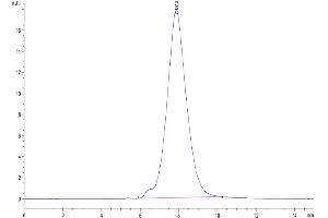 Size-exclusion chromatography-High Pressure Liquid Chromatography (SEC-HPLC) image for CD47 (CD47) (AA 19-139) protein (His tag) (ABIN7274220)