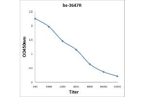 Antigen: 2 µg/100 µL  Primary: Antiserum, 1:500, 1:1000, 1:2000, 1:4000, 1:8000, 1:16000, 1:32000;  Secondary: HRP conjugated Rabbit Anti-Goat IgG at 1: 5000;  TMB staining Read the data in Microplate Reader by 450nm. (GNB2L1 antibody  (AA 221-317))