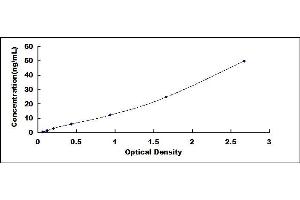 OBP2A ELISA Kit