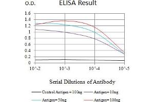 Black line: Control Antigen (100 ng),Purple line: Antigen (10 ng), Blue line: Antigen (50 ng), Red line:Antigen (100 ng) (Glypican 3 antibody  (AA 55-200))