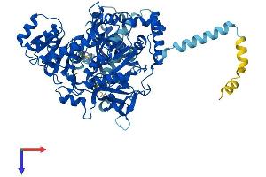 ACSL1 Protein (AA 1-699) (His tag)