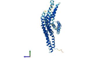 Protein Structure (PS) image for BCL2-Associated Athanogene 5 (BAG5) (AA 1-447) protein (His tag) (ABIN7552693)