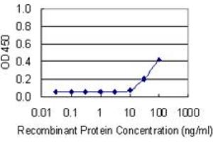 Detection limit for recombinant GST tagged NDUFA5 is 10 ng/ml as a capture antibody. (NDUFA5 antibody  (AA 1-116))