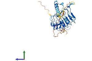 AlphaFold protein structure predicition of Human Recombinant LRRC18 Protein, UniprotID Q8N456