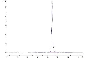 Size-exclusion chromatography-High Pressure Liquid Chromatography (SEC-HPLC) image for CD14 (CD14) (AA 20-344) protein (His tag) (ABIN7274064)