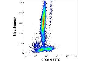 Flow cytometry surface staining pattern of human peripheral whole blood stained using anti-human CD314 (1D11) FITC antibody (4 μL reagent / 100 μL of peripheral whole blood). (KLRK1 antibody  (FITC))