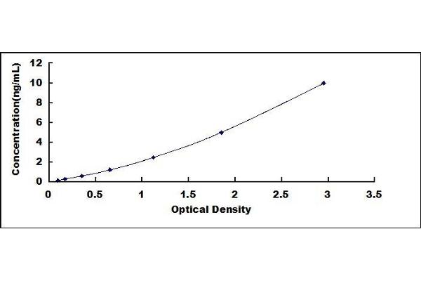 Peroxidasin ELISA Kit