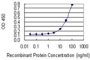 ELISA image for anti-Arginine-Glutamic Acid Dipeptide (RE) Repeats (RERE) (AA 85-193) antibody (ABIN947592)