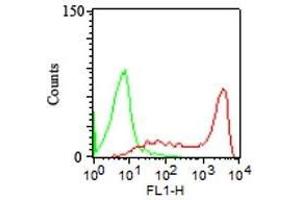 FACS Analysis human of PBMC CD45RA Mouse Monoclonal Antibody (158-4D3) (red) and isotype control (green). (CD45 antibody)