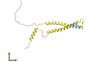 AlphaFold protein structure predicition of Human Recombinant OCIAD2 Protein, UniprotID Q56VL3 (OCIAD2 Protein (AA 1-154) (His tag))