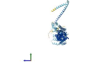 AlphaFold protein structure predicition of Mouse Recombinant Exoc3 Protein, UniprotID Q6KAR6 (EXOC3 Protein (AA 1-755) (His tag))