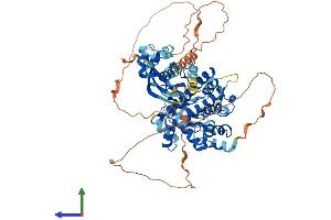 AlphaFold protein structure predicition of Mouse Recombinant Tnk1 Protein, UniprotID Q99ML2 (TNK1 Protein (AA 1-666) (His tag))