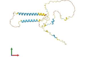 Protein Structure (PS) image for Transmembrane Protein 51 (TMEM51) (AA 1-249) protein (His tag) (ABIN7560368)