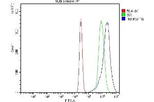 Flow Cytometry analysis of K562 cells using anti-TNF Receptor II/TNFRSF1B antibody (ABIN7600736).