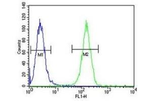 Flow Cytometry (FACS) image for anti-X-Ray Repair Complementing Defective Repair in Chinese Hamster Cells 6 (XRCC6) (AA 521-548) antibody (ABIN3029655)