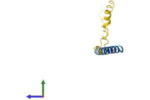 AlphaFold protein structure predicition of Mouse Recombinant Ctxn1 Protein, UniprotID Q8K129 (Cortexin 1 (CTXN1) (AA 1-82) protein (Fc Tag))