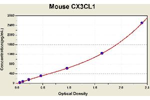 Diagramm of the ELISA kit to detect Mouse CX3CL1with the optical density on the x-axis and the concentration on the y-axis. (CX3CL1 ELISA Kit)