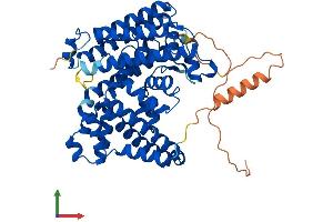 AlphaFold protein structure predicition of Mouse Recombinant Mboat2 Protein, UniprotID Q8R3I2 (MBOAT2 Protein (AA 1-519) (His tag))
