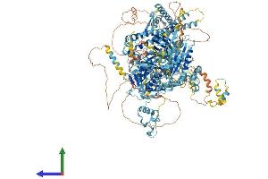AlphaFold protein structure predicition of Human Recombinant CC2D2A Protein, UniprotID Q9P2K1 (CC2D2A Protein (AA 1-1620) (His tag))