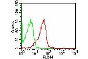 Image no. 1 for anti-CD47 (CD47) antibody (ABIN961100) (CD47 antibody)