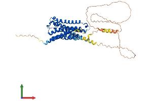 AlphaFold protein structure predicition of Mouse Recombinant Chrm2 Protein, UniprotID Q9ERZ4 (Muscarinic Acetylcholine Receptor M2 Protein (AA 1-466) (His tag))
