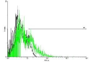 FACS analysis of negative control 293 cells (Black) and ADRB3 expressing 293 cells (Green) using ADRB3 purified MaxPab mouse polyclonal antibody. (ADRB3 antibody  (AA 1-408))