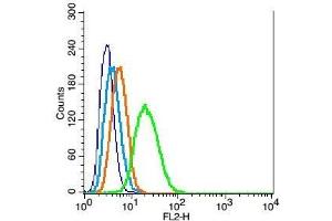 RSC96 probed with Mfn1 Polyclonal Antibody, Unconjugated  at 1:100 for 30 minutes followed by incubation with a conjugated secondary (PE Conjugated) (green) for 30 minutes compared to control cells (blue), secondary only (light blue) and isotype control (orange). (MFN1 antibody  (AA 651-741))