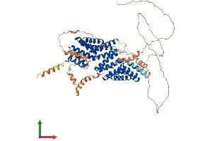 AlphaFold protein structure predicition of Human Recombinant GPSM2 Protein, UniprotID P81274