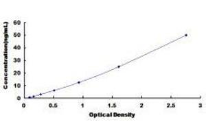 Glutamic-Oxaloacetic Transaminase 2, Mitochondrial (Aspartate Aminotransferase 2) (GOT2) ELISA Kit