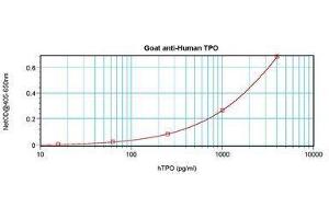 Image no. 3 for anti-Thrombopoietin (THPO) antibody (ABIN465842) (Thrombopoietin antibody)