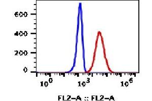 Image no. 2 for anti-Mast/stem Cell Growth Factor Receptor (KIT) antibody (Biotin) (ABIN3071785) (KIT antibody  (Biotin))