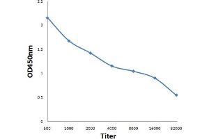 MS4A2 antibody  (AA 51-150)