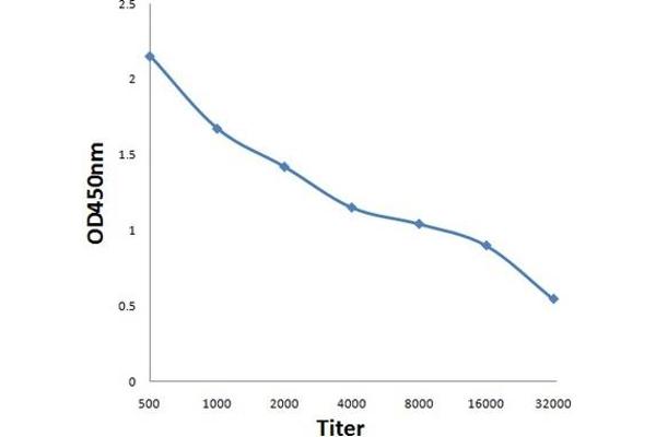 MS4A2 antibody  (AA 51-150)