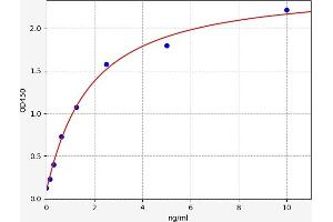 Metabotropic Glutamate Receptor 5 ELISA Kit