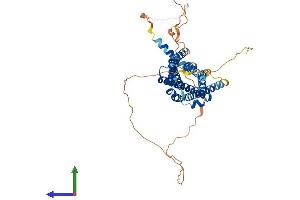 Protein Structure (PS) image for G Protein-Coupled Receptor 152 (GPR152) (AA 1-470) protein (His tag) (ABIN7548009)