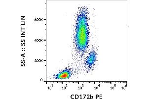 Flow cytometry analysis (surface staining) of human peripheral blood cells with anti-human CD172b (B4B6) PE. (CD172b / SIRP beta antibody (PE))